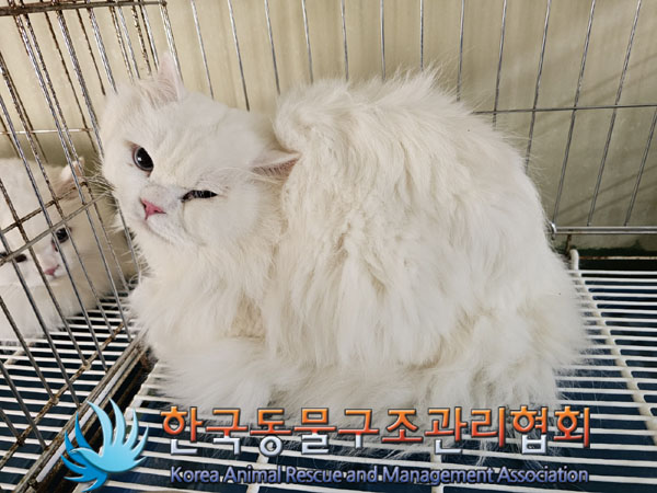 한국동물구조관리협회_411311202300989